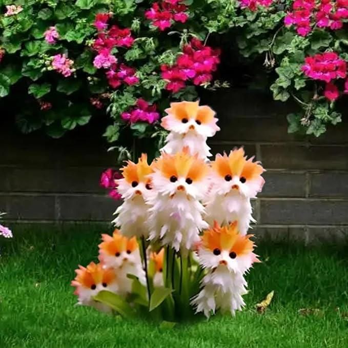 Gardening Products